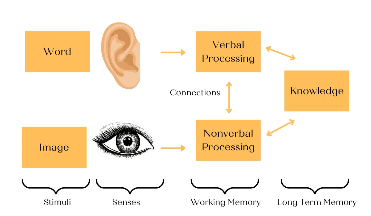 diagrama animado que muestra el impacto del aprendizaje audiovisual